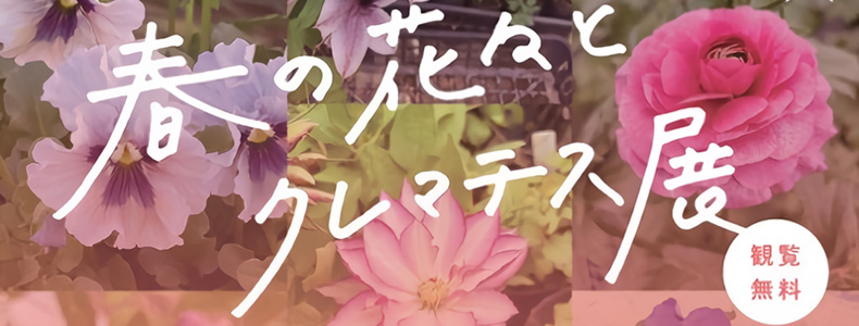 春の花々とクレマチス展2026